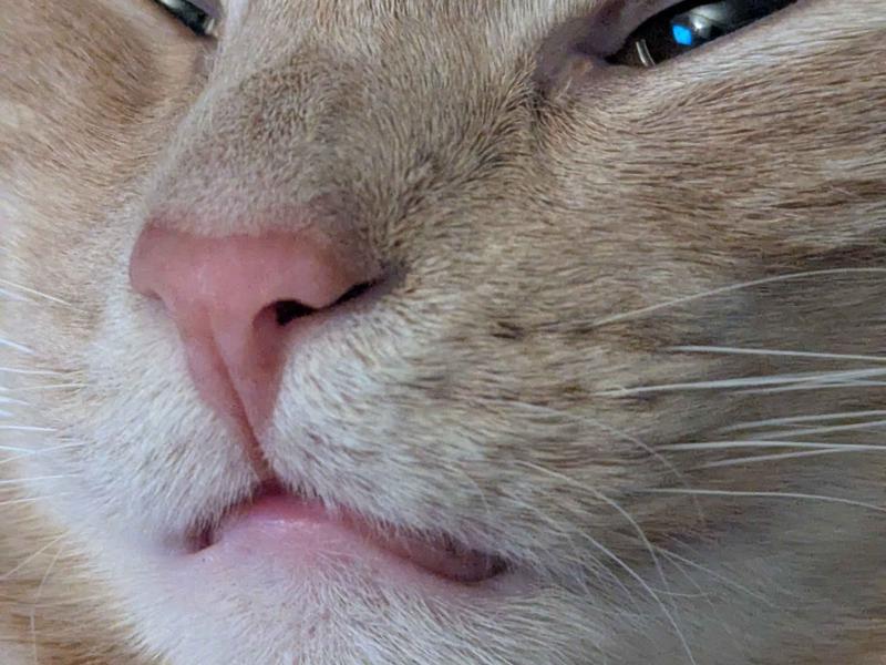 a close-up picture of the sweetest boy in the whole wide world