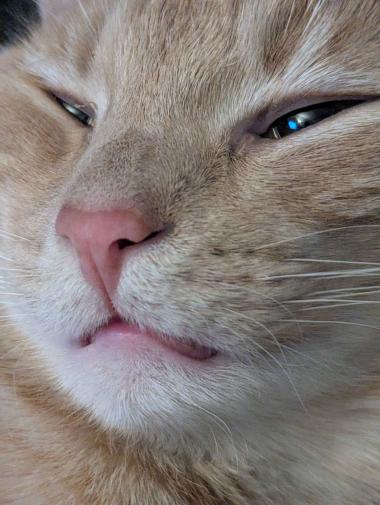 a close-up picture of the sweetest boy in the whole wide world